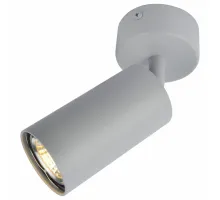 Спот Arte Lamp 3216 A3216PL-1GY Цвет арматуры серый Цвет плафонов серый Спот Arte Lamp 3216 A3216PL-1GY Цвет арматуры серый Цвет плафонов серый