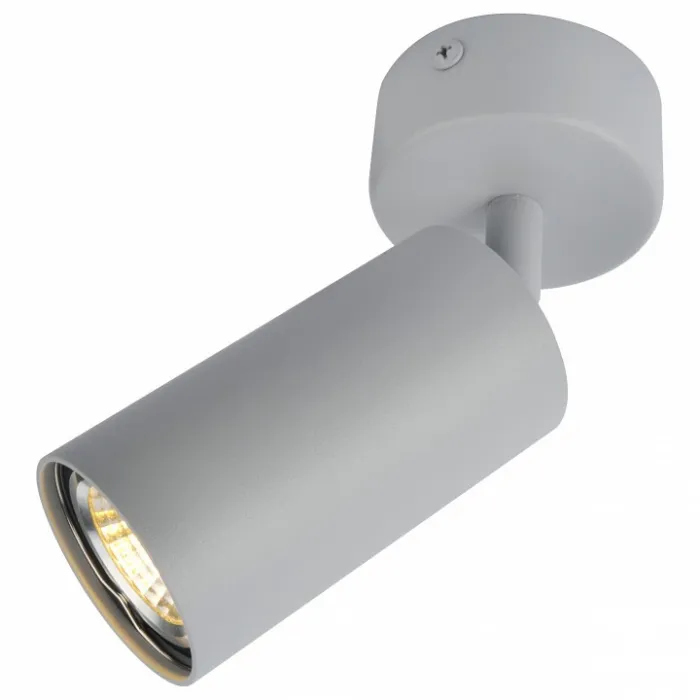 Спот Arte Lamp 3216 A3216PL-1GY Цвет арматуры серый Цвет плафонов серый от ImperiumLoft
