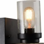 Бра Arte Lamp 1693 A1693AP-1BR Цвет арматуры разноцветный Цвет плафонов прозрачный