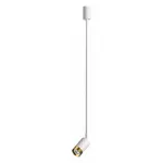 Подвесной светильник Odeon Light Ad Astrum 4350/1C