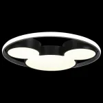 Накладной светильник Loft it Mike 10166 от ImperiumLoft