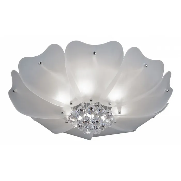 Накладной светильник Lightstar Lobo 804020 Цвет арматуры хром от ImperiumLoft
