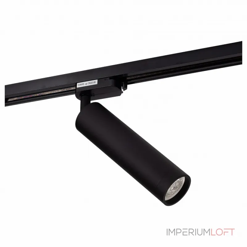 Светильник на штанге Denkirs DK620 DK6203-BK