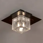 Накладной светильник Lussole Notte Di Luna LSF-1307-01 Цвет арматуры хром Цвет плафонов прозрачный