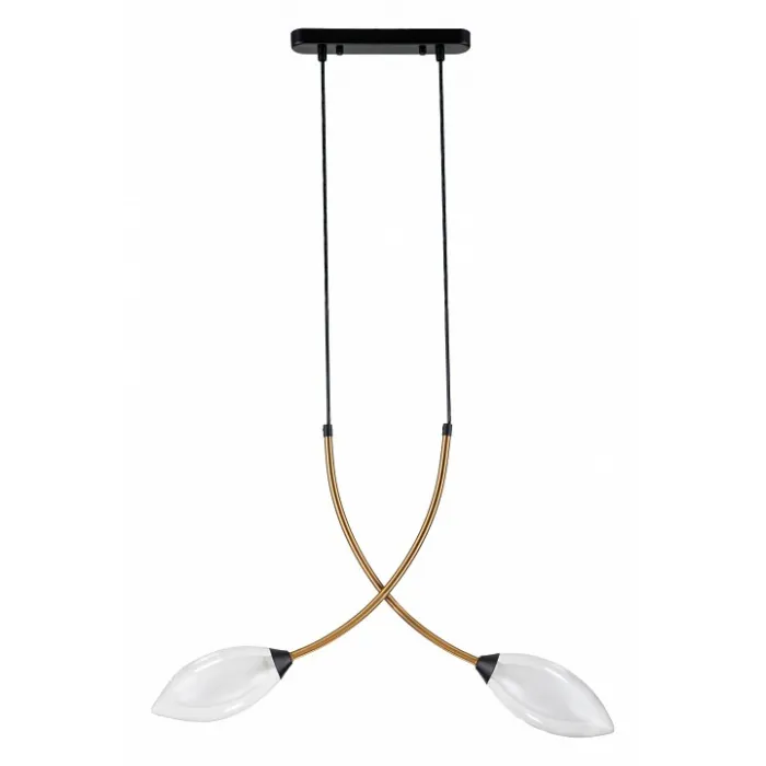 Подвесной светильник Indigo Fiore 13001/2P Black от ImperiumLoft