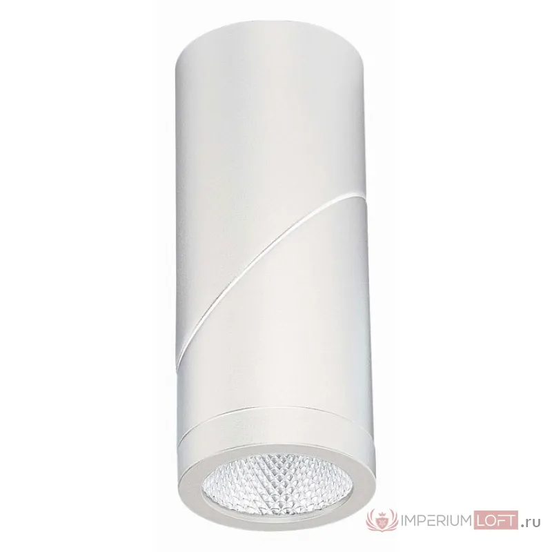 Светильник на штанге ST-Luce ST650 ST650.542.10 от ImperiumLoft