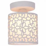 Накладной светильник Arte Lamp Traforato A8349PL-1WH Цвет арматуры белый Цвет плафонов белый