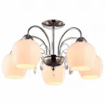 Потолочная люстра Arte Lamp Millo A9548PL-5CC 