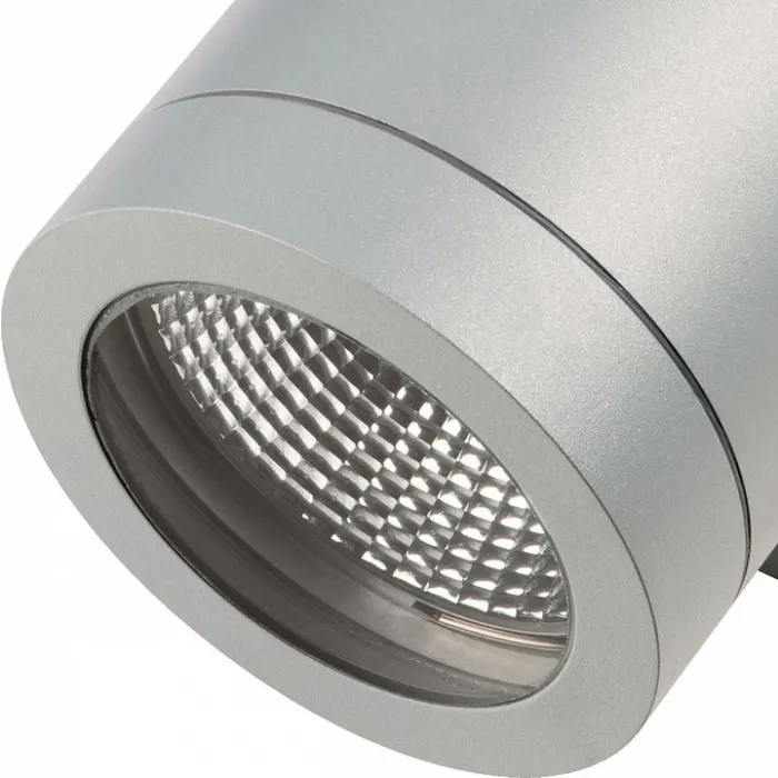 Накладной светильник Lightstar Paro 351619 Цвет плафонов серый Цвет арматуры серый от ImperiumLoft
