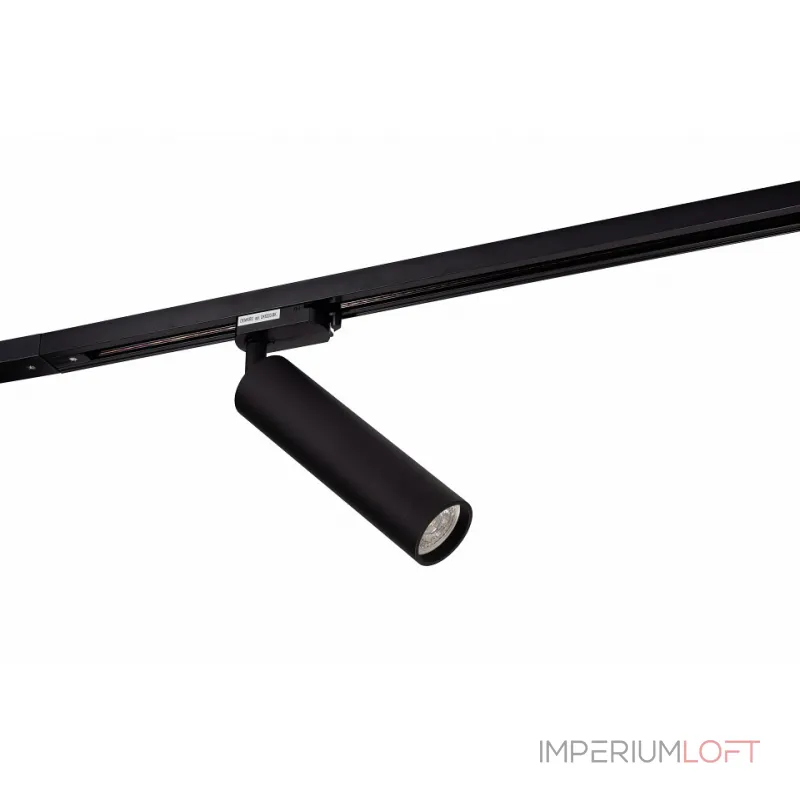 Светильник на штанге Denkirs DK620 DK6203-BK