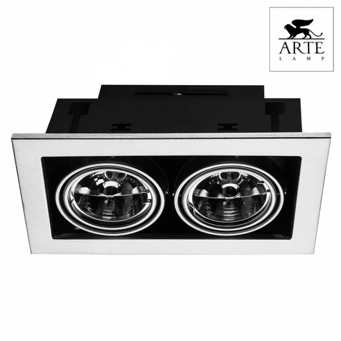 Встраиваемый светильник Arte Lamp Technika 2 A5930PL-2SI Цвет арматуры серебро Цвет плафонов серебро от ImperiumLoft