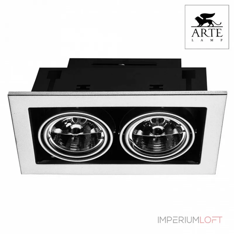 Встраиваемый светильник Arte Lamp Technika 2 A5930PL-2SI Цвет арматуры серебро Цвет плафонов серебро