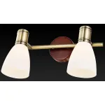 Спот TopLight Sharyl TL3720Y-02BB Цвет арматуры бронза Цвет плафонов белый