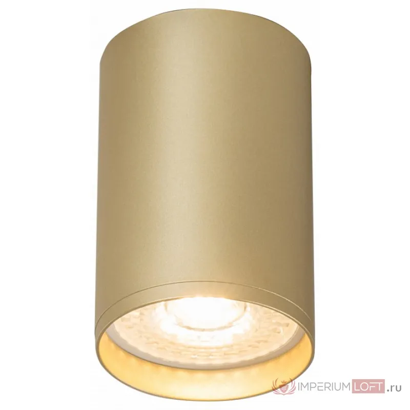 Накладной светильник Denkirs Tube DK2050-SG от ImperiumLoft
