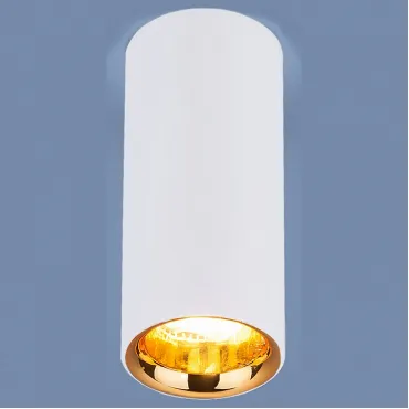 Накладной светильник Elektrostandard DLR030 a040669 Цвет арматуры белый Цвет плафонов золото