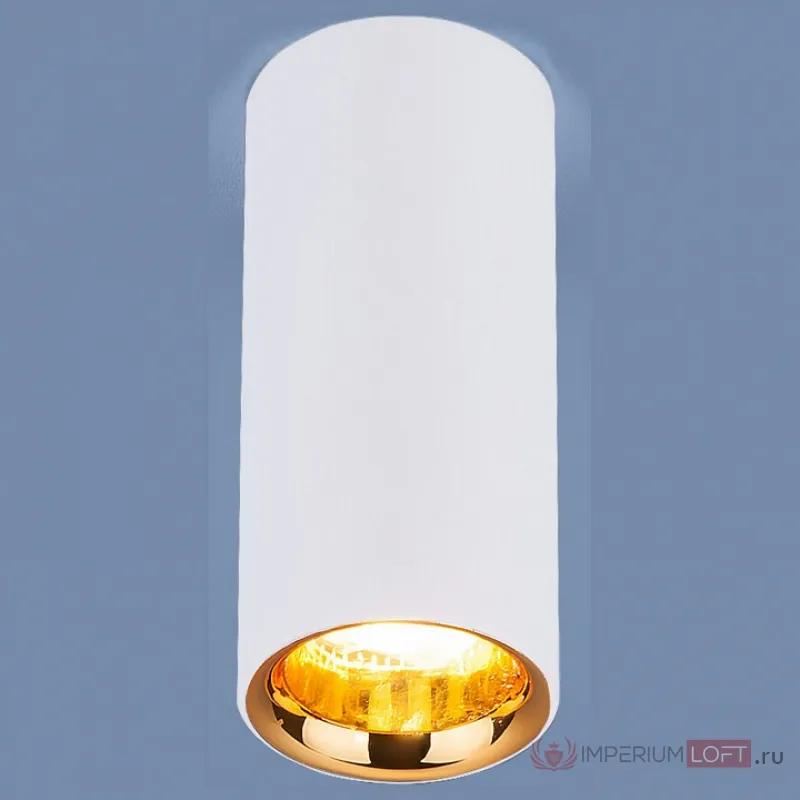 Накладной светильник Elektrostandard DLR030 a040669 Цвет арматуры белый Цвет плафонов золото от ImperiumLoft
