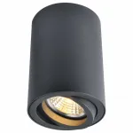 Накладной светильник Arte Lamp 1560 A1560PL-1BK Цвет арматуры черный Цвет плафонов черный