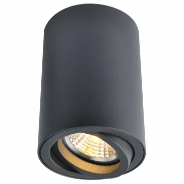 Накладной светильник Arte Lamp 1560 A1560PL-1BK Цвет арматуры черный Цвет плафонов черный
