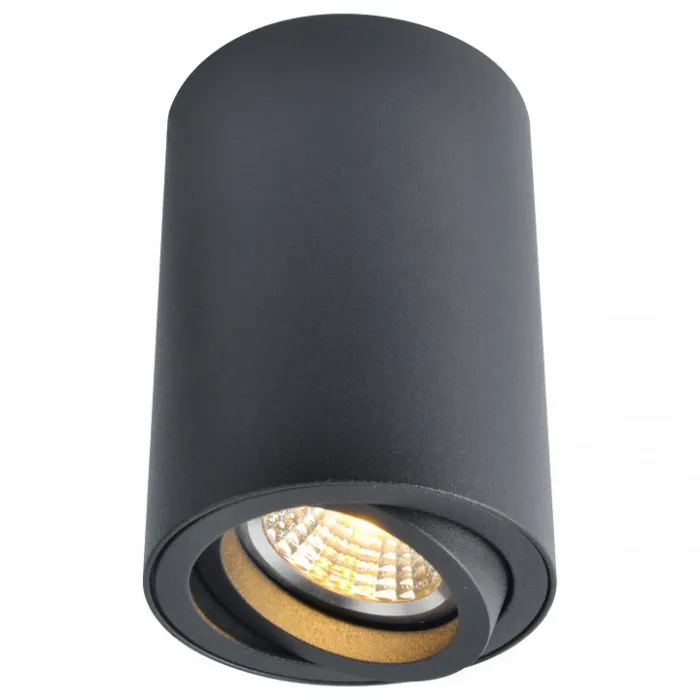 Накладной светильник Arte Lamp 1560 A1560PL-1BK Цвет арматуры черный Цвет плафонов черный от ImperiumLoft