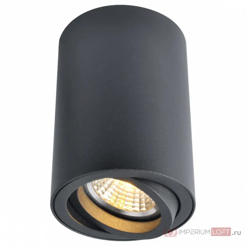 Накладной светильник Arte Lamp 1560 A1560PL-1BK Цвет арматуры черный Цвет плафонов черный от ImperiumLoft