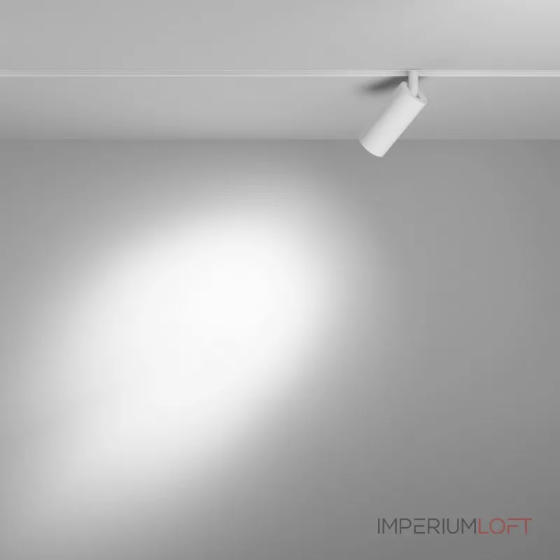 Трековый светильник Maytoni Focus LED TR032-4-5W3K-S-DS-W