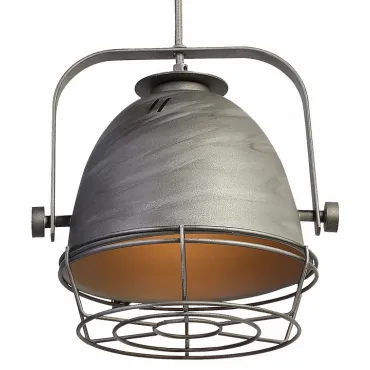 Подвесной светильник Favourite Lichtwerfer 1896-1P Цвет плафонов серый Цвет арматуры серый