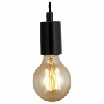 Подвесной светильник Arte Lamp 9184 A9184SP-1BK 