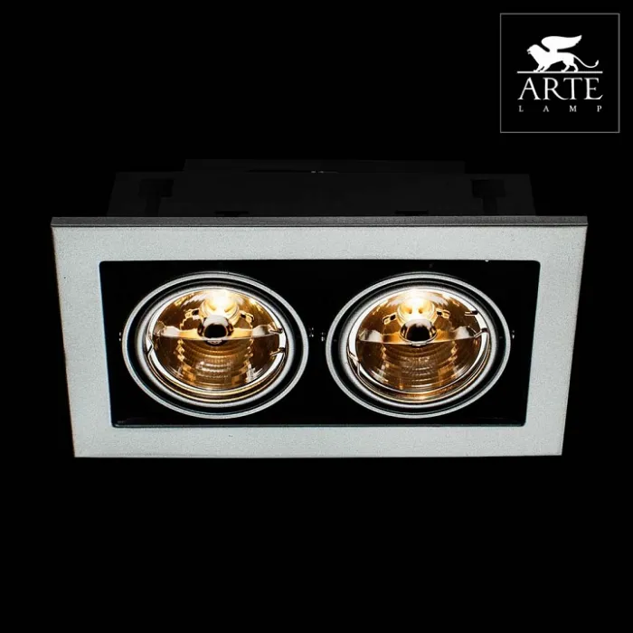 Встраиваемый светильник Arte Lamp Technika 2 A5930PL-2SI Цвет арматуры серебро Цвет плафонов серебро от ImperiumLoft