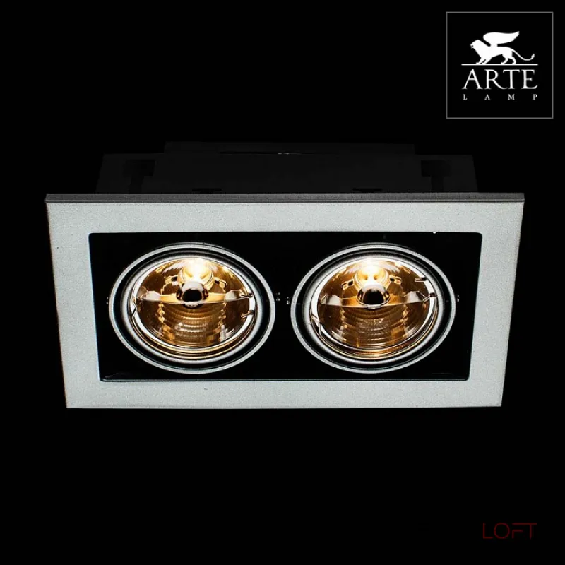 Встраиваемый светильник Arte Lamp Technika 2 A5930PL-2SI Цвет арматуры серебро Цвет плафонов серебро