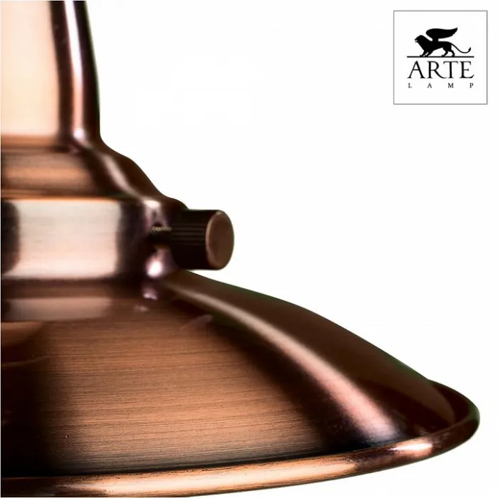 Подвесной светильник Arte Lamp Fisherman A5518SP-1RB Цвет арматуры бронза Цвет плафонов прозрачный от ImperiumLoft