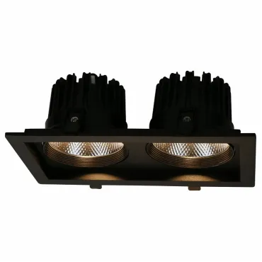 Встраиваемый светильник Arte Lamp Privato A7018PL-2BK Цвет арматуры черный Цвет плафонов прозрачный