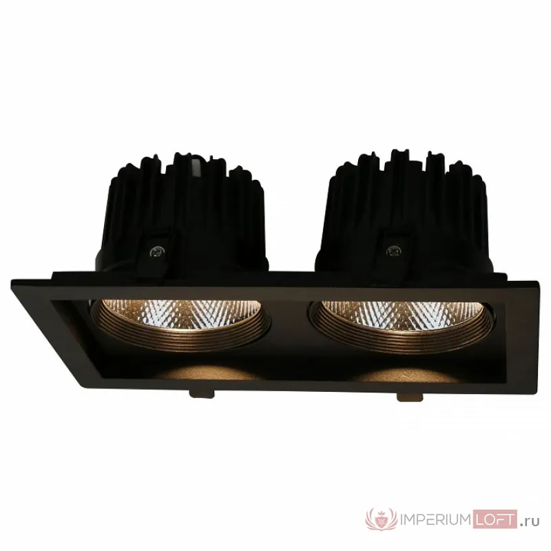 Встраиваемый светильник Arte Lamp Privato A7018PL-2BK Цвет арматуры черный Цвет плафонов прозрачный от ImperiumLoft