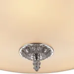 Потолочный светильник TopLight Salome TL2630X-05CH 