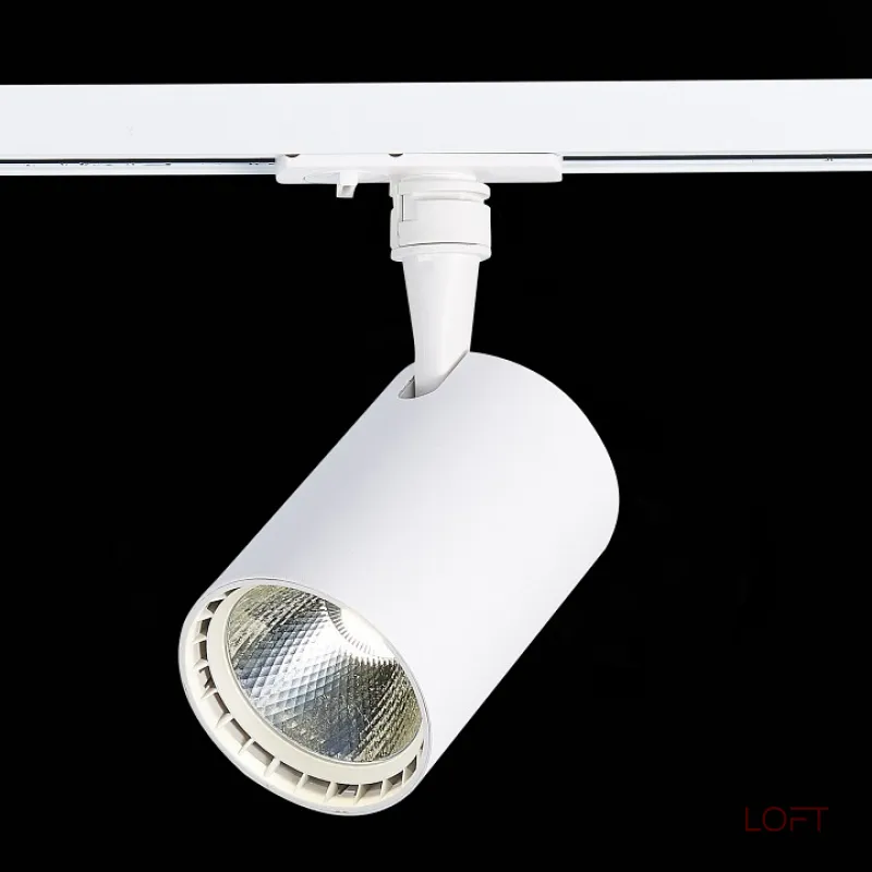 Светильник на штанге ST-Luce Cami ST351.546.20.36 Цвет арматуры белый Цвет плафонов белый