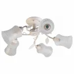 Потолочная люстра TopLight Alyson TL7140X-05WG 