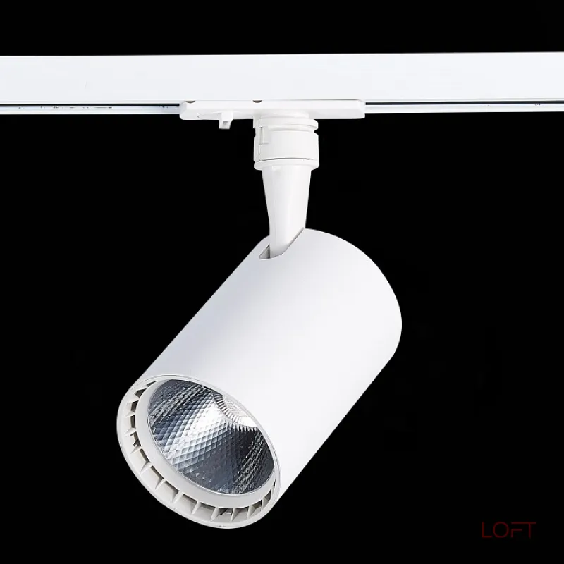 Светильник на штанге ST-Luce Cami ST351.546.20.36 Цвет арматуры белый Цвет плафонов белый