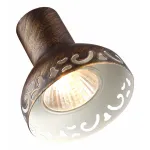 Спот Arte Lamp Focus A5219PL-4BR Цвет арматуры коричневый Цвет плафонов коричневый от ImperiumLoft