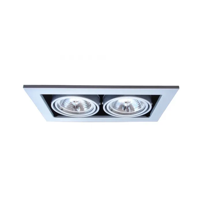 Встраиваемый светильник Arte Lamp Technika 2 A5930PL-2SI Цвет арматуры серебро Цвет плафонов серебро от ImperiumLoft