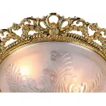 Потолочный светильник Arte Lamp Piatti A8002PL-2GO 