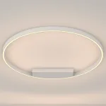 Накладной светильник Maytoni Rim MOD058CL-L50W3K от ImperiumLoft