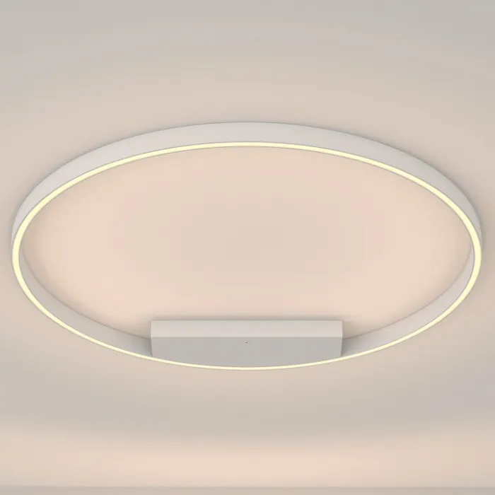 Накладной светильник Maytoni Rim MOD058CL-L50W3K от ImperiumLoft
