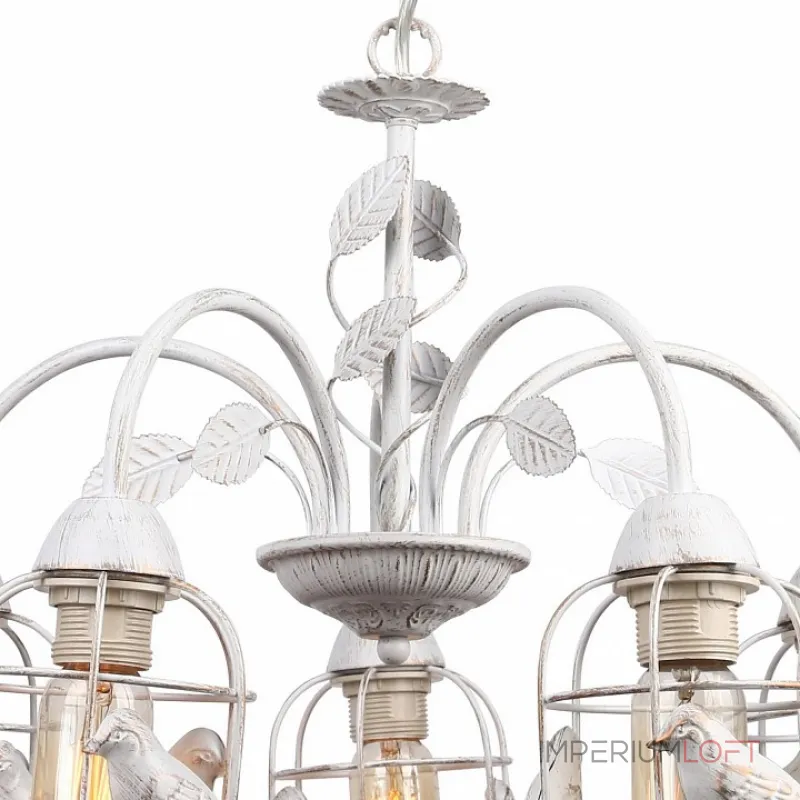 Подвесная люстра Arte Lamp Cincia A5090LM-5WG