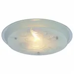 Потолочный светильник Arte Lamp Sinderella A4865PL-2CC 