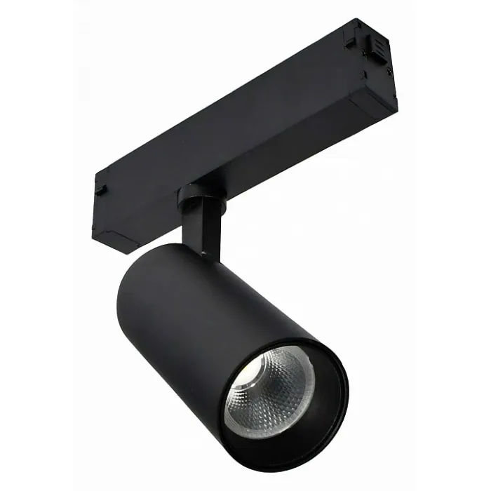 Светильник на штанге ST-Luce ST660 ST660.496.10 от ImperiumLoft