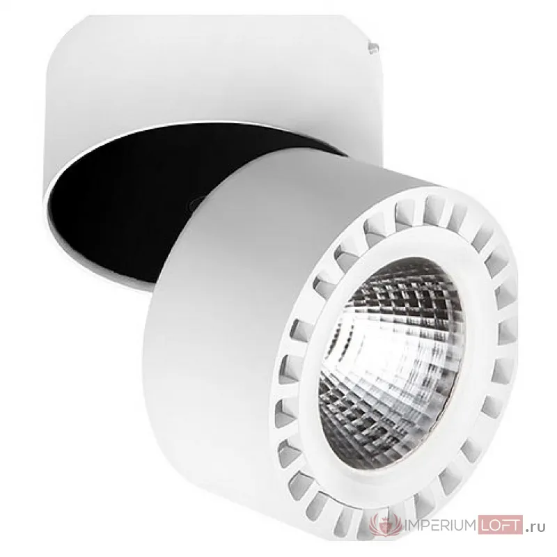 Накладной светильник Lightstar Forte 381364 от ImperiumLoft