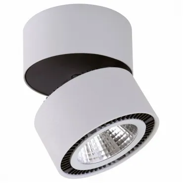 Светильник на штанге Lightstar Forte Muro LED 213839 Цвет плафонов серый Цвет арматуры серый