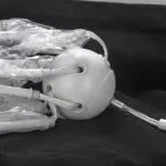 Люстра на штанге Lussole Kenner LSP-8269