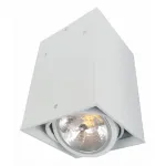 Накладной светильник Arte Lamp Cardani A5936PL-1WH