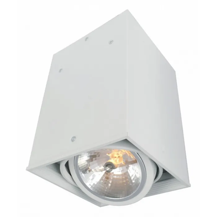 Накладной светильник Arte Lamp Cardani A5936PL-1WH от ImperiumLoft