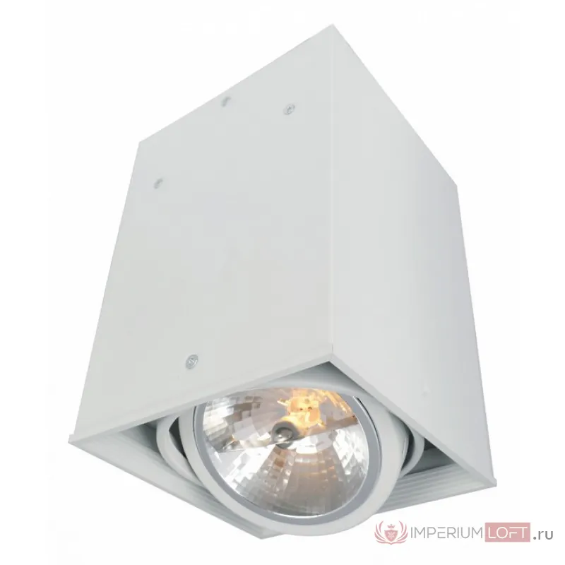 Накладной светильник Arte Lamp Cardani A5936PL-1WH от ImperiumLoft
